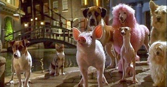 Critics At Large : Neglected Gem #71 – Babe: Pig in the City