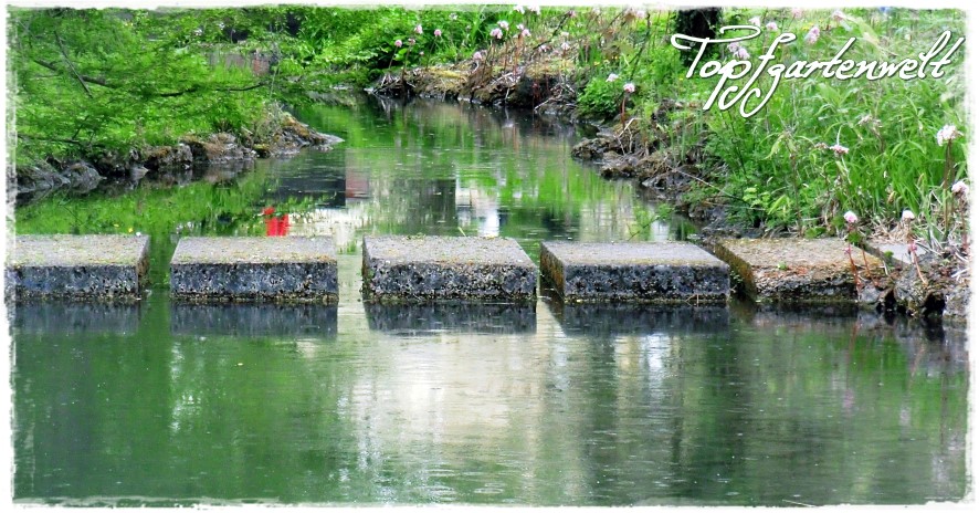 Botanischer Garten Salzburg Ein Verborgenes Idyll Topfgartenwelt