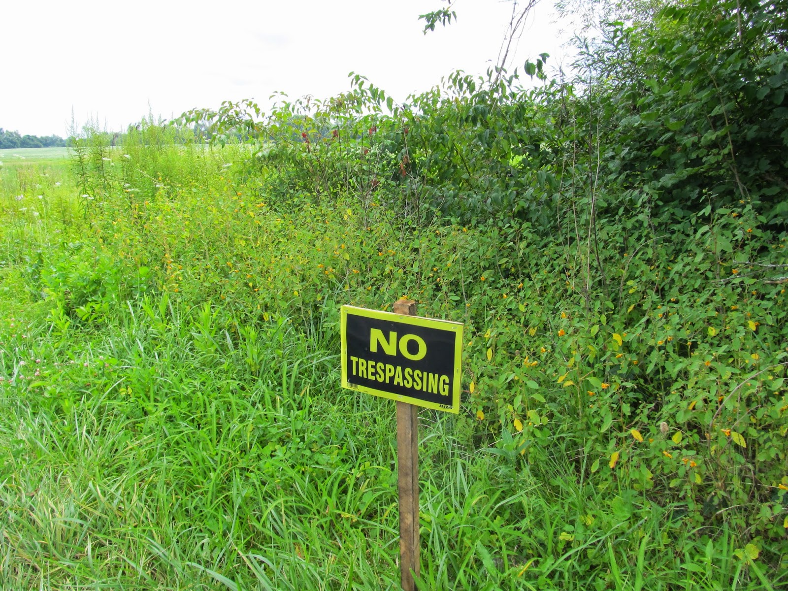 Lehigh Valley Ramblings BT Comm'rs To Review Green Pond Sketch Plans