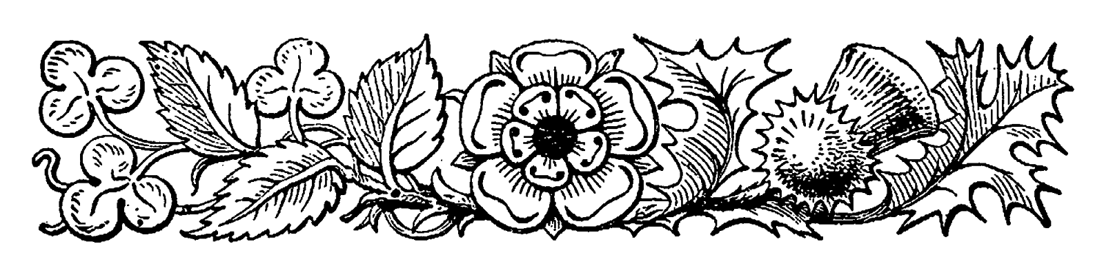 Digital Stamp Design Free Border Clip Art Thistle Clover Flowers