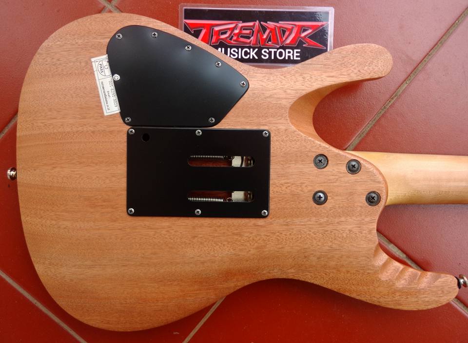 Lapak Gitar Bekas Jual Ibanez EGEN 8 Indonesia DEPOK Lapak Gitar Bekas Jual Ibanez EGEN 8 Indonesia DEPOK
