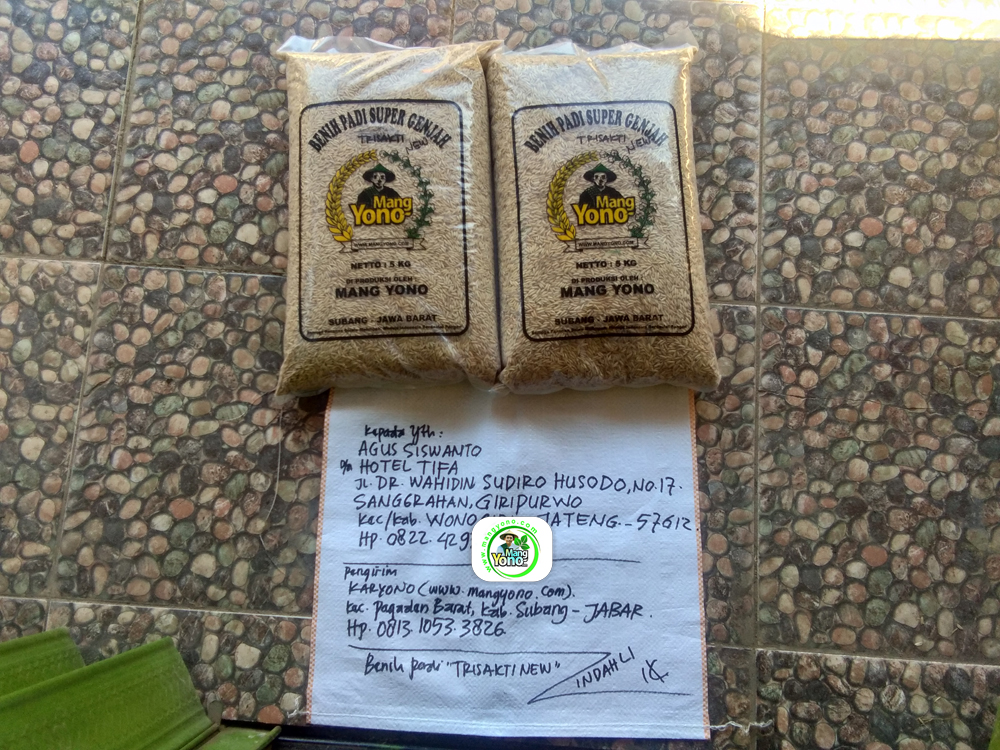 AGUS SISWANTO Wonogiri, Jateng. Pembeli Benih Padi