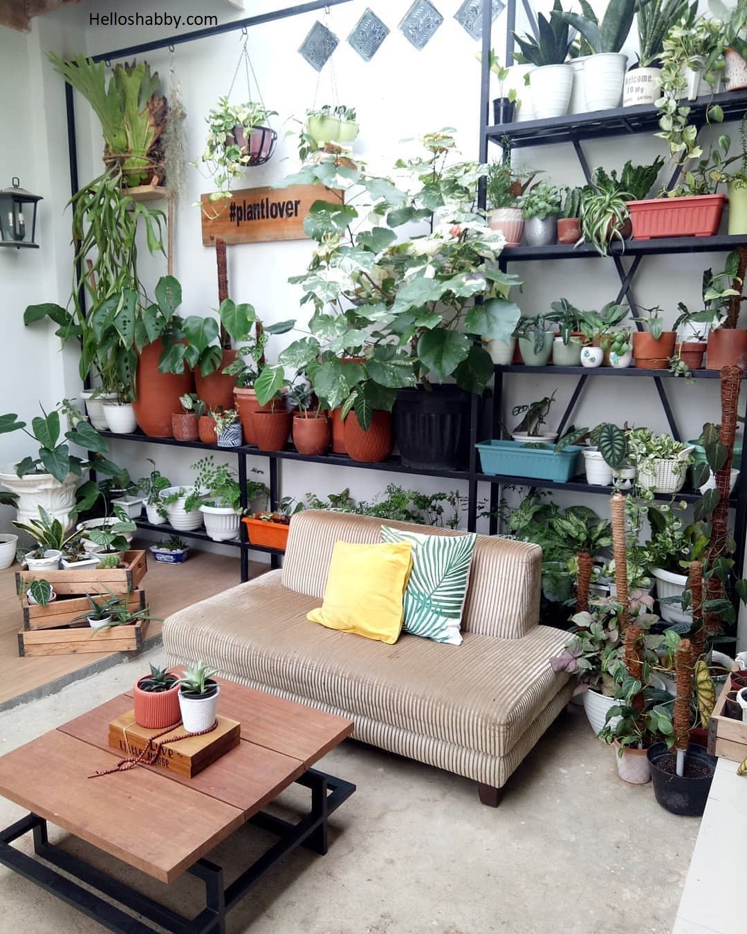 6 Cara Jitu Mendesain Taman Teras Mungil Super Ekonomis ~ HelloShabby