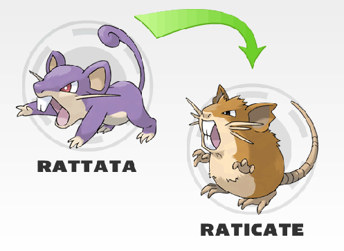 Rattata Evolution Chart