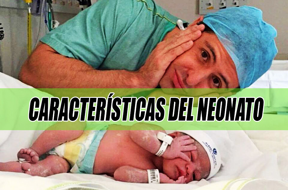 CARACTERISTICAS DEL NEONATO BIENVENIDOS