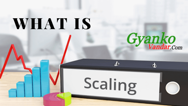 What is "Scaling" in Research? | Definition and Meaning of Scaling in Research What is "Scaling" in Research? | Definition and Meaning of Scaling in Research