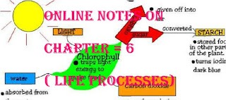 Online Notes on Chapter = 6 ( life processes) Part 1