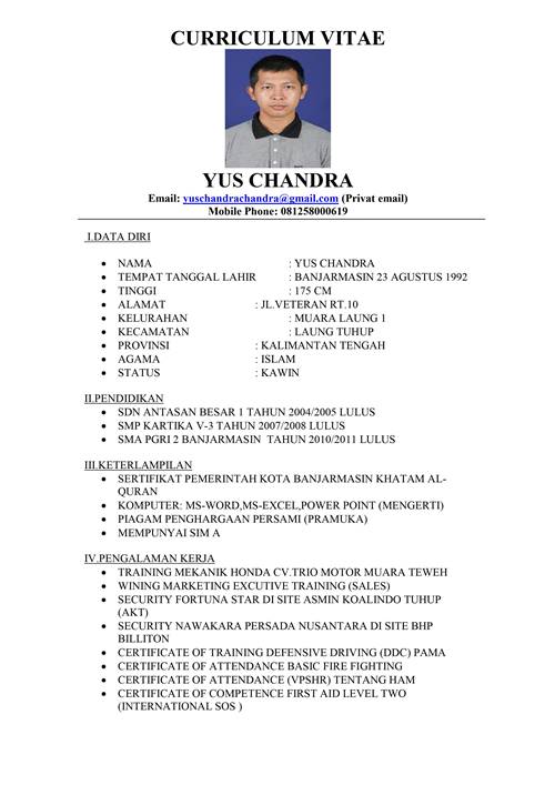 Contoh Biodata Diri Lamaran Kerja / 10 Contoh Surat Daftar Riwayat