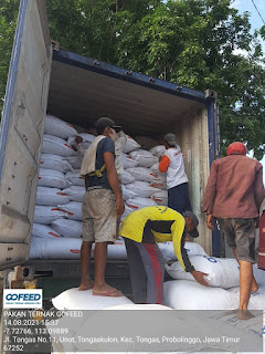 jual pakan ternak, jual konsentrat ternak, harga pakan ternak