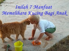 Inilah 7 Manfaat Memelihara Kucing Bagi Anak