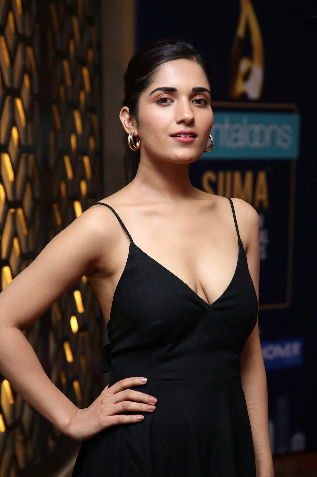 ruhani-sharma-siima2019-pressmeet13.jpg
