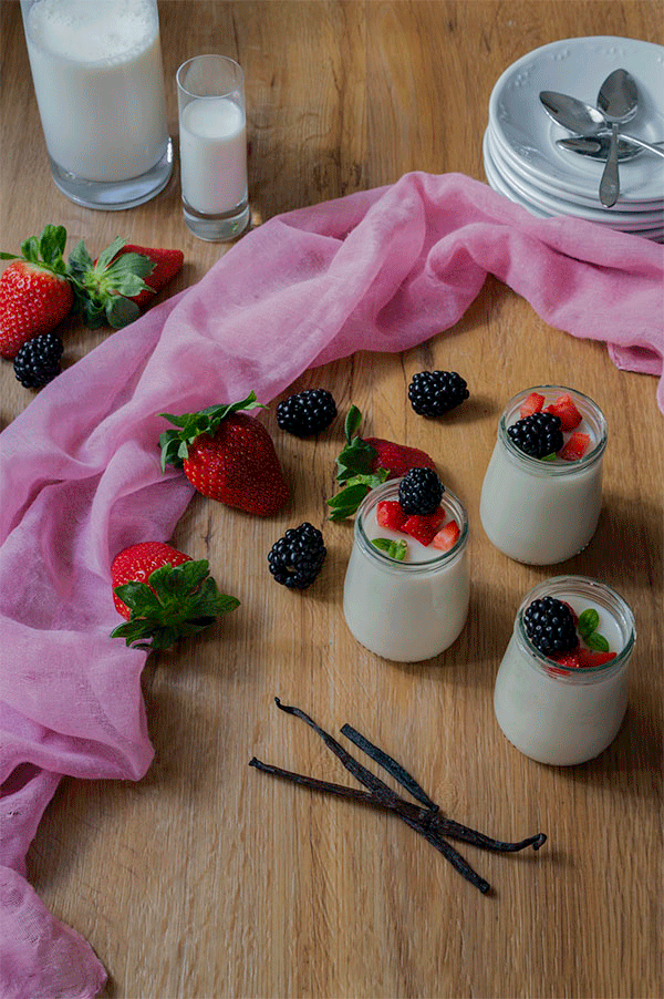 GELATINA DE LECHE A LA VAINILLA TuvesyyoHago