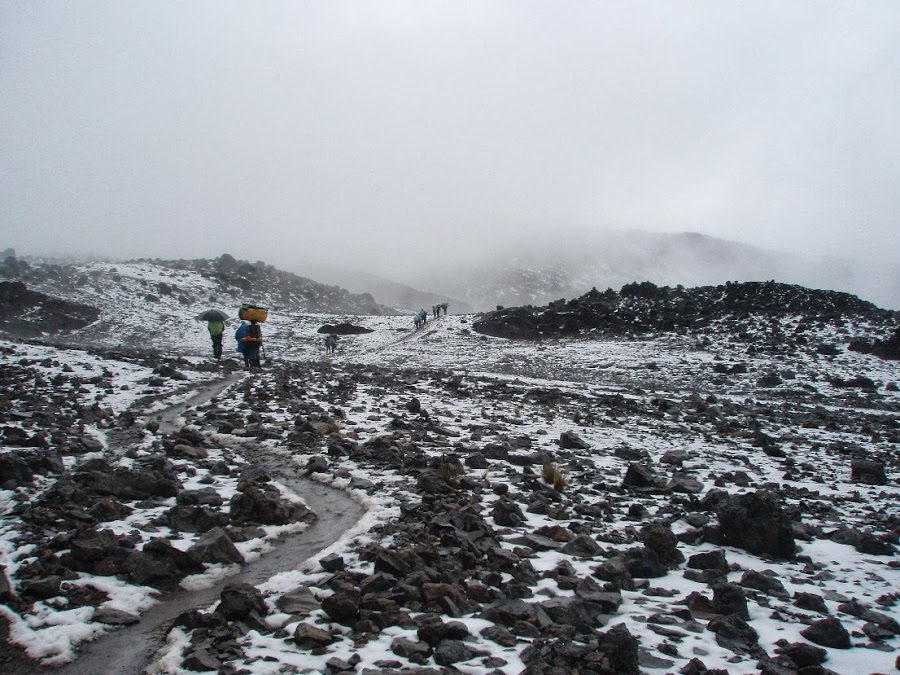 Porteadores-bajo-la-nieve-camino-a-Barafu-Hut