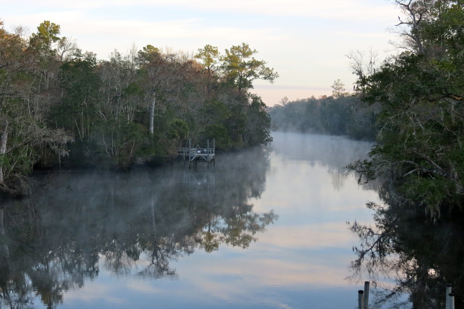 Our Nature Misty Morning on the St. Marks River