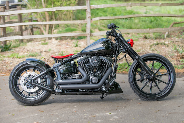 Harley Davidson By Shaw Speed And Custom