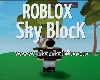 Roblox Beta Sky Block Infınıte Everythıng Sonsuz Script Hilesi İndir 2020