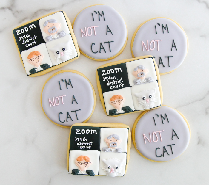 "I'm not a cat" Zoom Call Cookies