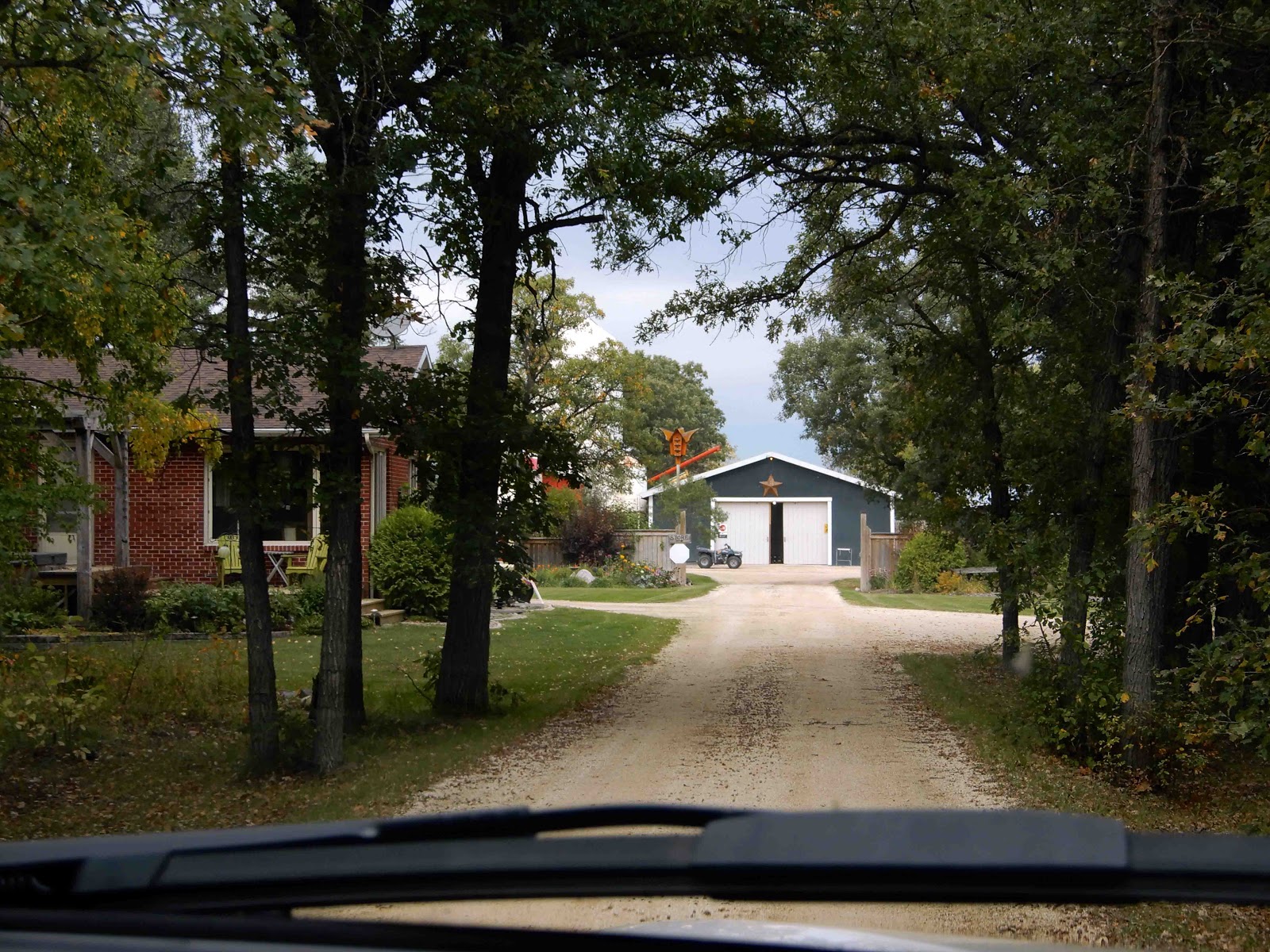 Cat Patches Warren, Manitoba, Canada