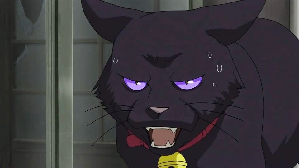 Isul creator's label black mao. Pullip black mao. Темнее черного кот мао. Black mao. Black mao.