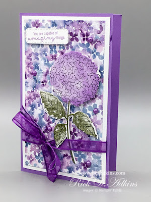 My alternative project for the CSTB Tutorial Blog Hop for Match featuring Hydrangea Haven Click here to learn more