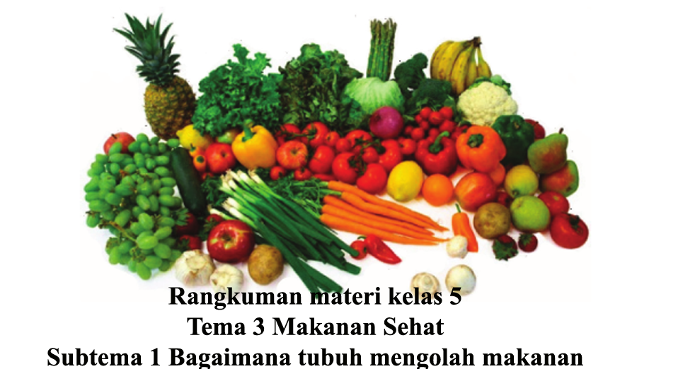 Rangkuman kelas 5 tema 3 subtema 1 Heyulita