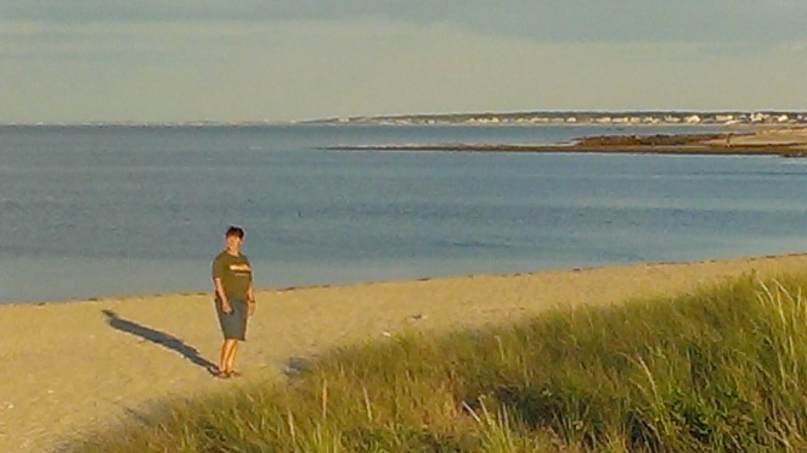 Cape Cod bay