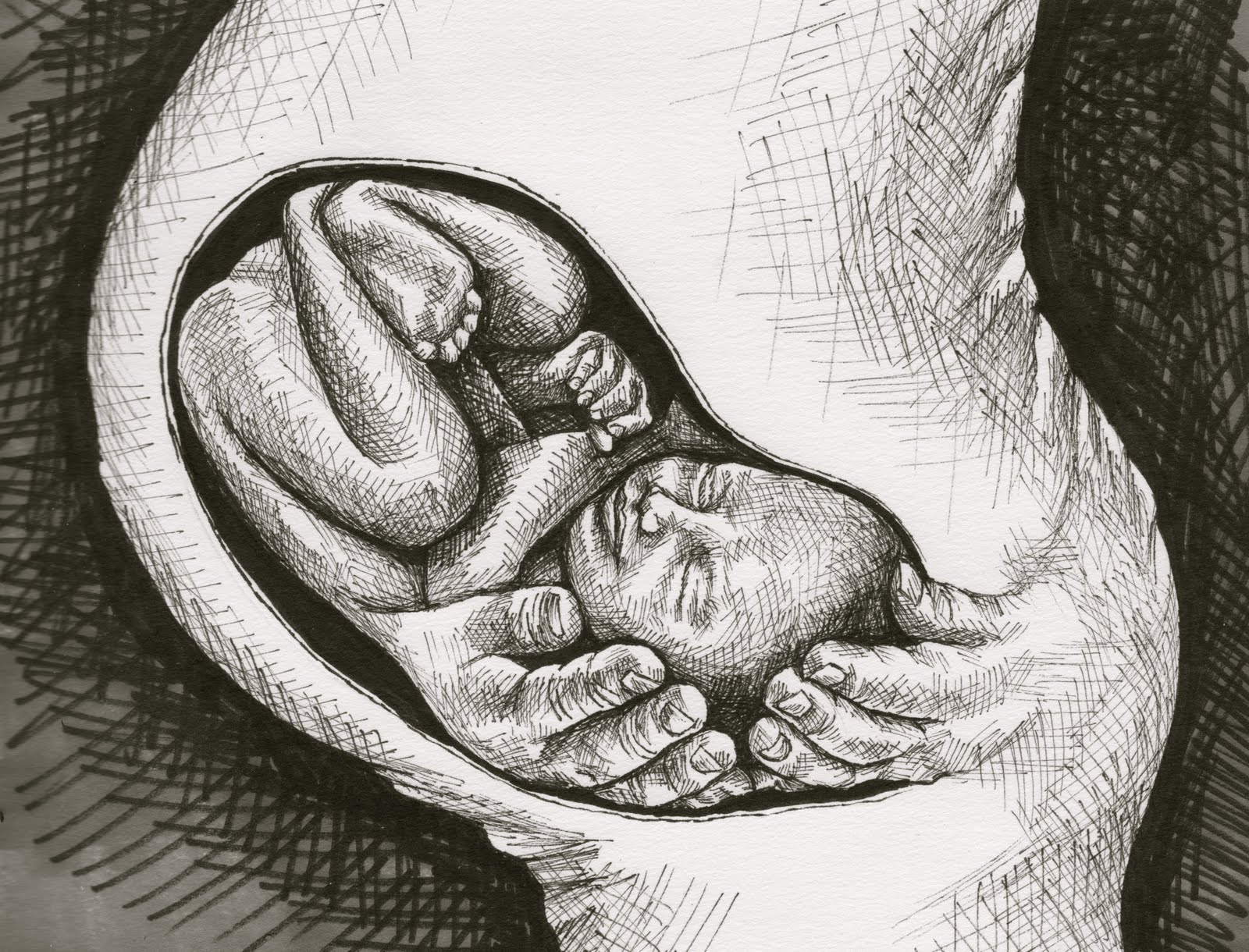 "Can we agree to that?" In Mother's Womb 5/7/11