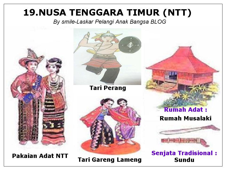 Rumah Adat, Tarian, Senjata, Alat Musik 33 Provinsi 