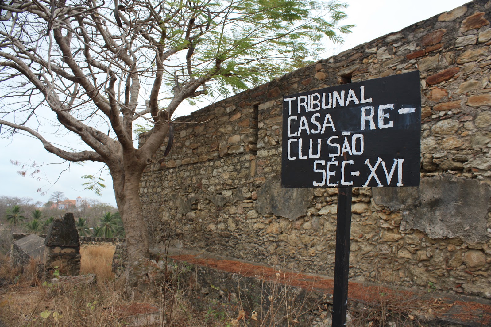 the leopard with a jacket: Angola, Massangano