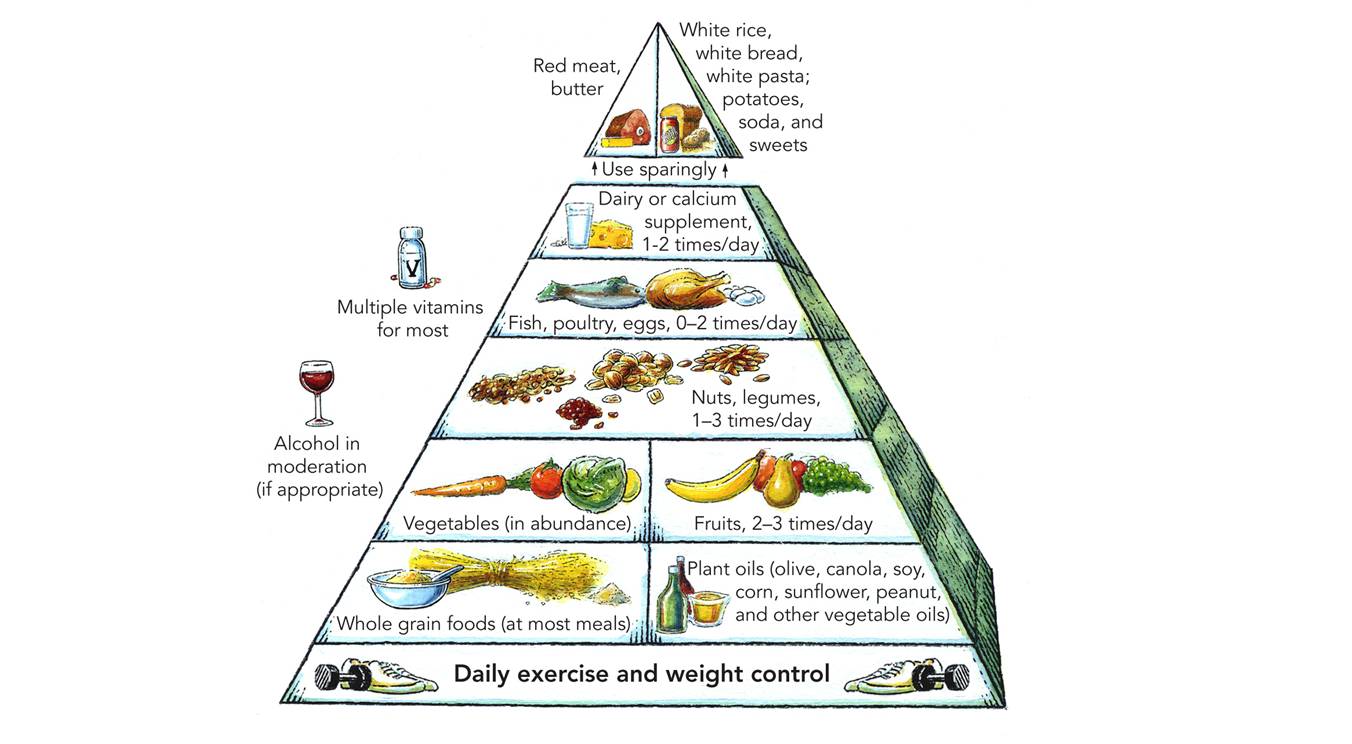 Схема питания человека