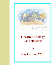 Creation Biology for Beginners