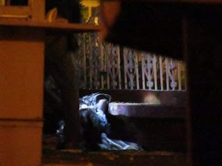 Civiles armados del "CJNG" atan a masculino a banca de La Plaza y le hacen explotar una bomba casera, ejecutandolo al instante dejan narcomensaje BOMBA7
