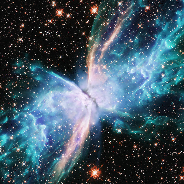 Planetary Nebula NGC 6302: the Butterfly Nebula