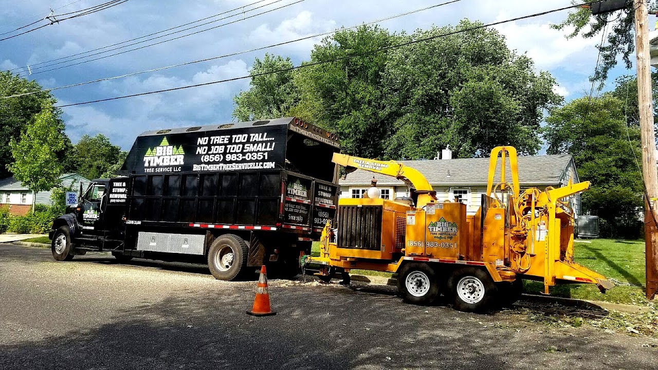 Asplundh Tree Expert Company Tree Choices