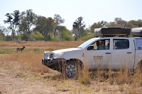 Día 7:Daytrip en Moremi GR - Botswana y Cataratas Victoria. Viaje por libre de 19 dias (6)