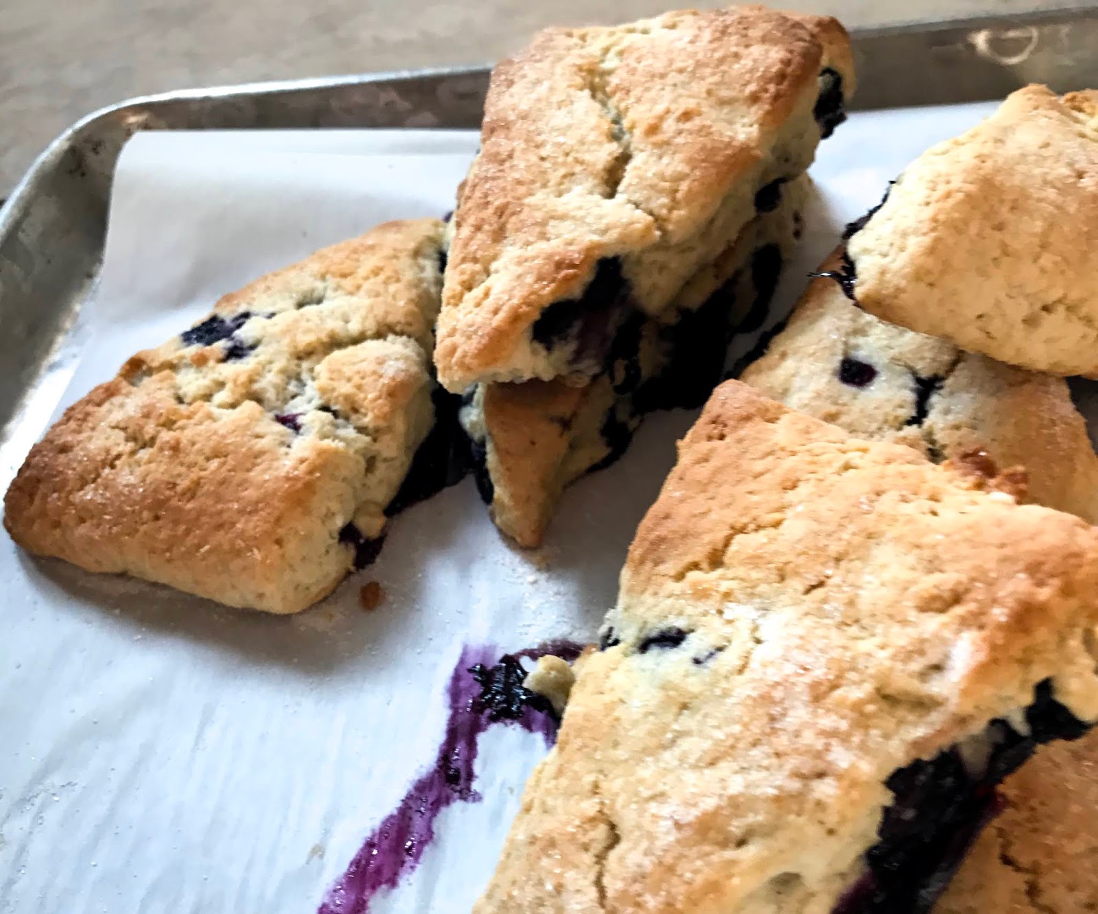 The Blueberry Scone