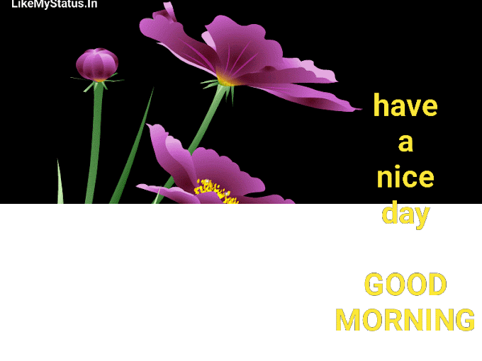 25+ Animated Good Morning Wishes Gif For Whatsapp...