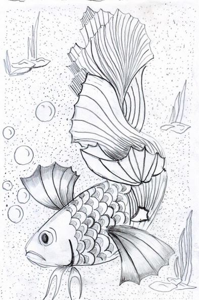1001 Kecantikan dan Keindahan Sketsa Gambar Ikan Hias 