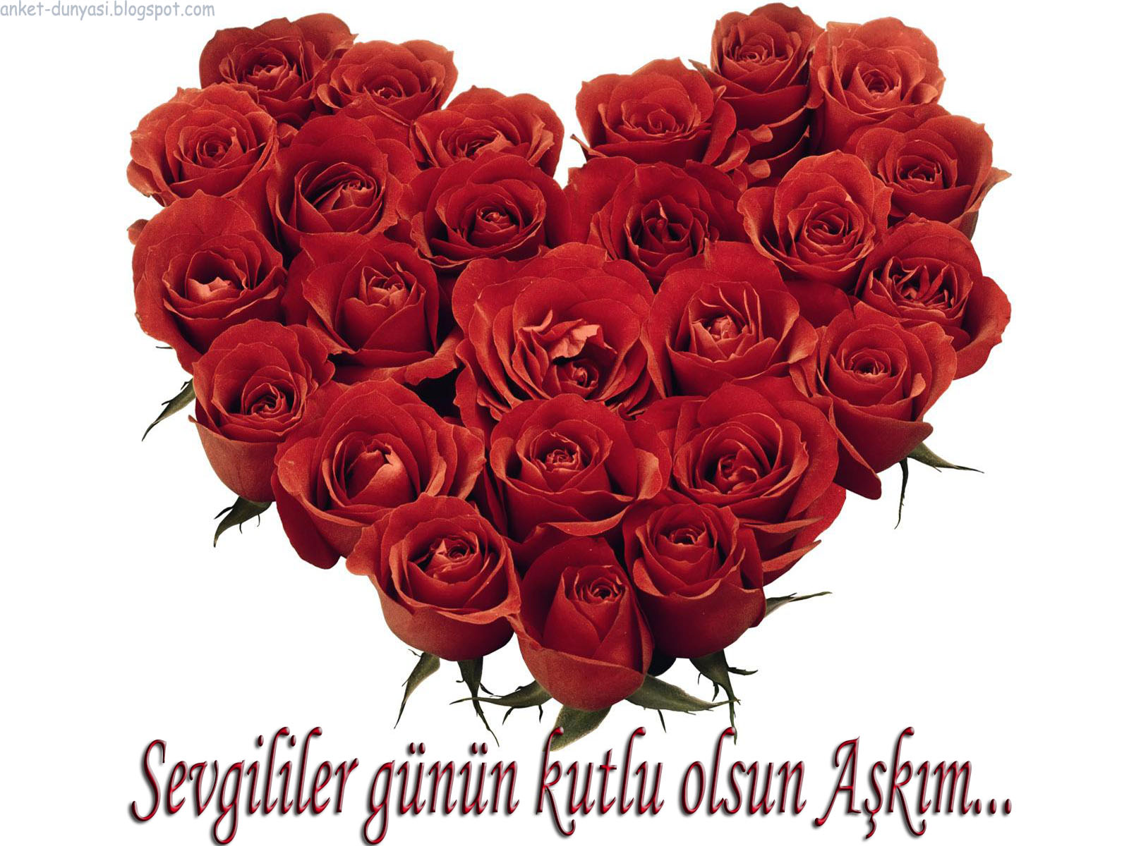 Yaz kızım!: Sevgililer günü