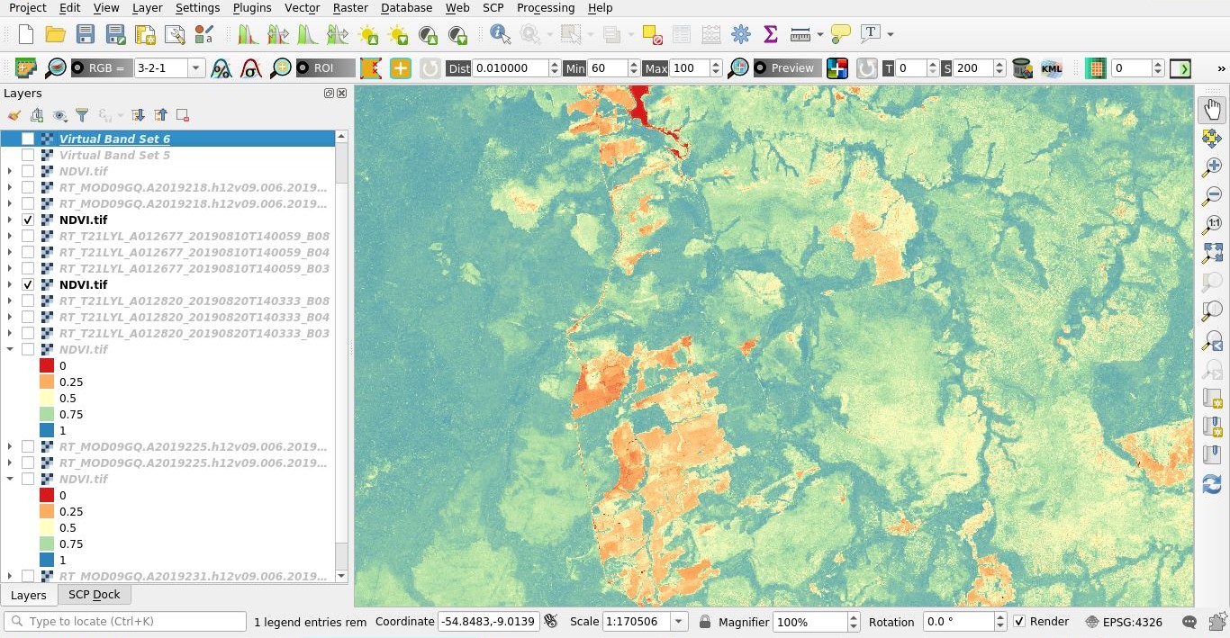 From GIS to Remote Sensing How to Monitor the Fires in the Amazon