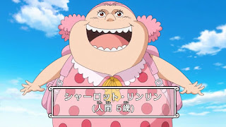 ワンピースアニメ | 四皇ビッグ・マム 幼少期 | シャーロット・リンリン | ONE PIECE | BIG MOM Charlotte Linlin Child | Hello Anime !