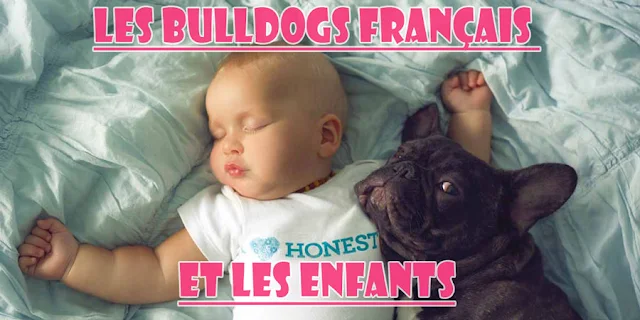 bouledogues français enfants - assurance chien, assurance chien avis, assurance chien prix,