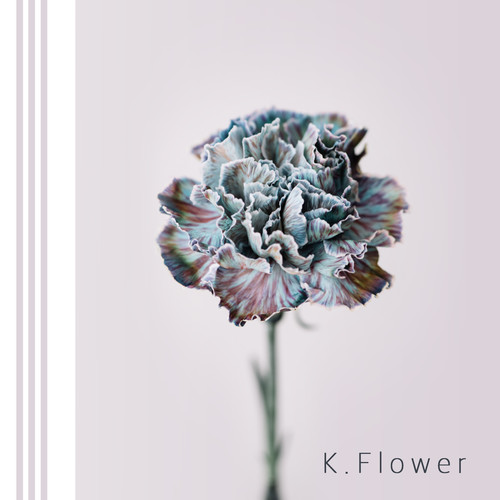 K. Flower – Say – Single