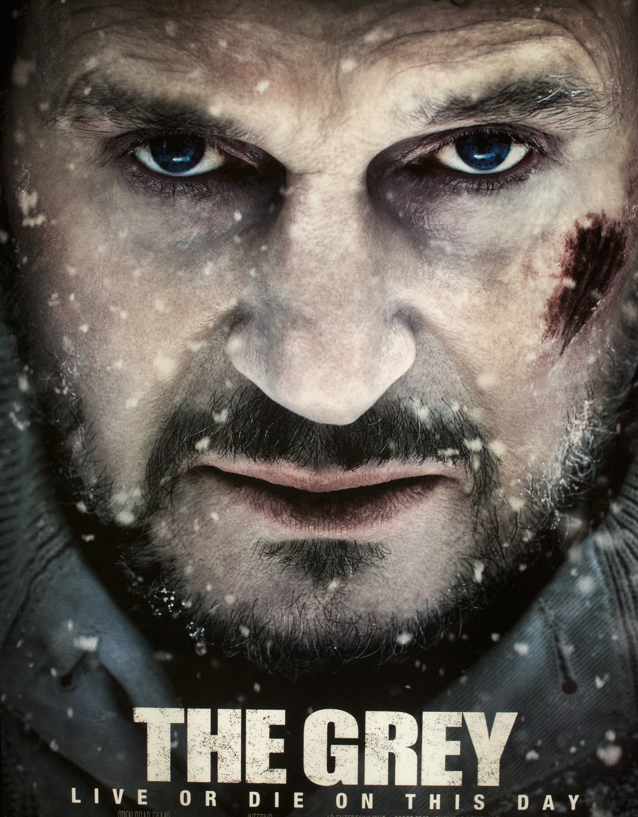 http://1.bp.blogspot.com/-45pWLoaKmUE/TyP9-9u85II/AAAAAAAACCY/snuhM9vA7mU/s1600/The+Grey+Liam+Neeson+one-sheet.jpg