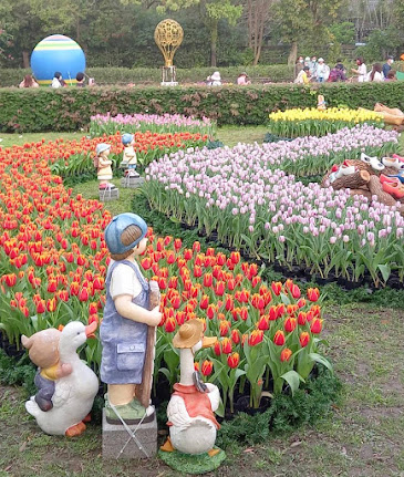 中壢社大週四趴趴走.2021首站士林官邸-鬱金香展(荷你相遇)