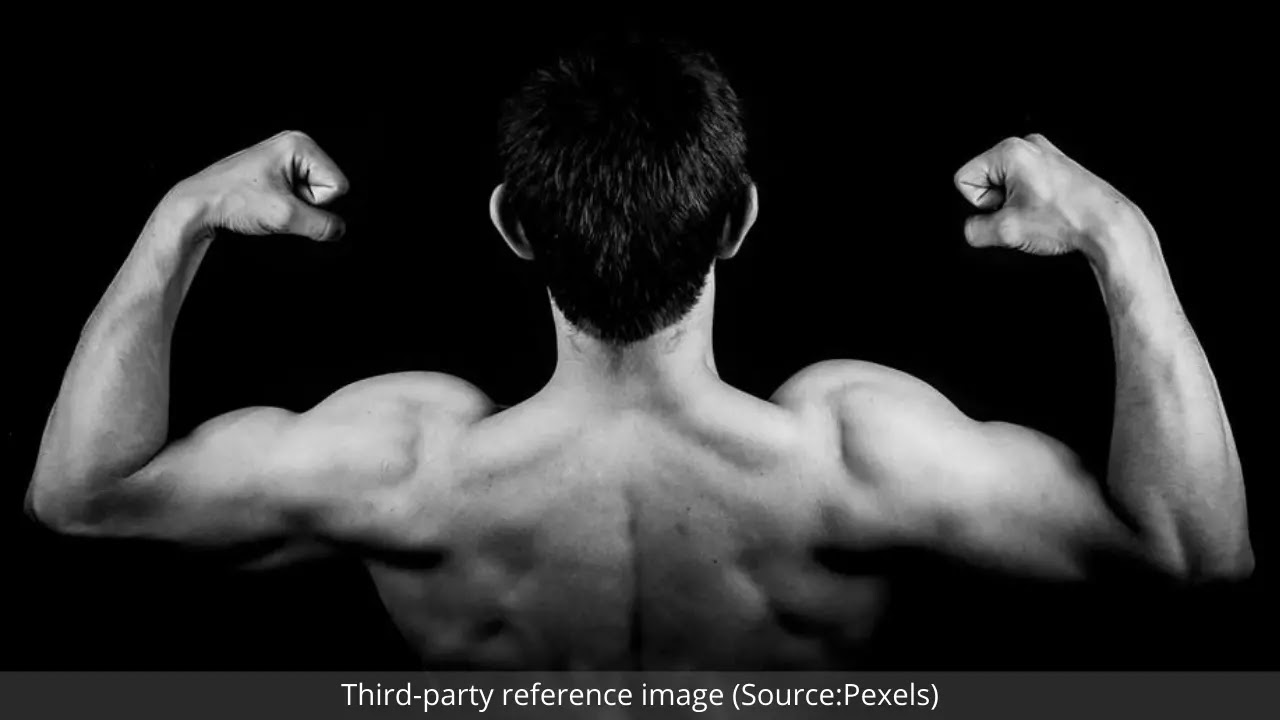 How to Build Muscles Fast At Home | HealthInsta How to Build Muscles Fast At Home | HealthInsta