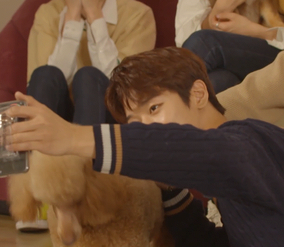 어제자 댕댕이랑 만난 인간 댕댕이 남돌 | 인스티즈