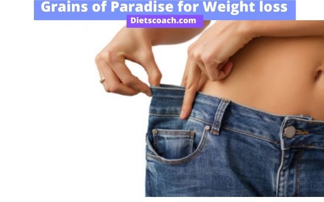 Grains of paradise Weight loss