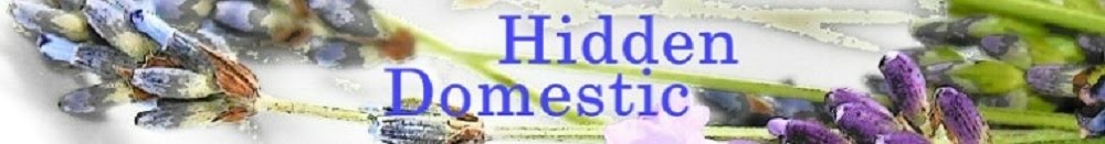 The Hidden Domestic