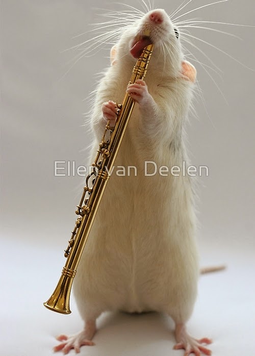04-The-Clarinet-Player-Musical-Dumbo-Rat-Ellen-Van-Deelen-www-designstack-co